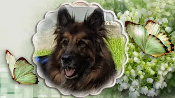 Andachtsbild von Kochany Misieńku❤️❤️❤️