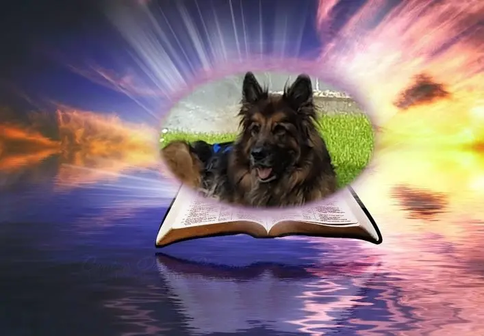 Andachtsbild von Dobrej Nocki Misieńku❤️❤️❤️