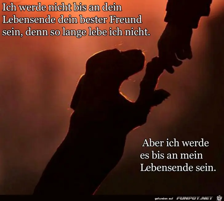 Andachtsbild von Marika mit Balou und Hippo im Herzen