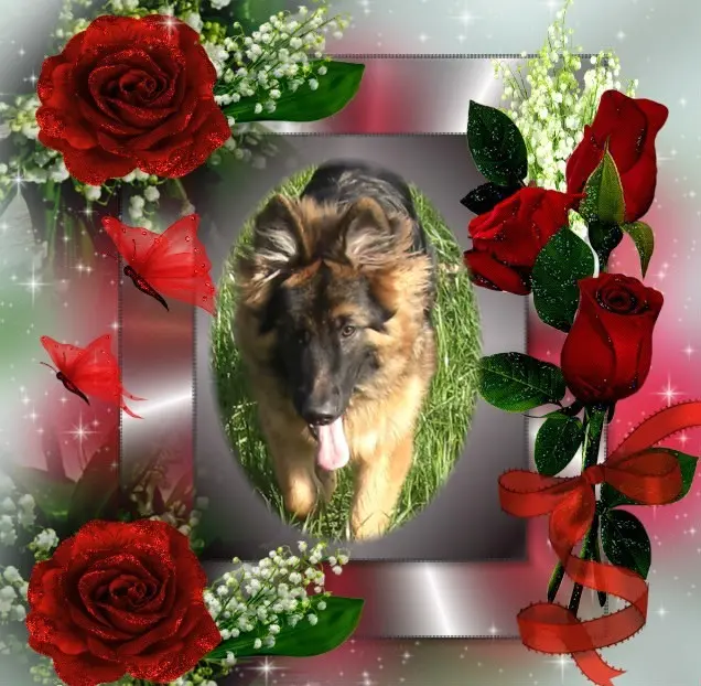 Andachtsbild von Dzień Dobry Misieńku❤️❤️❤️