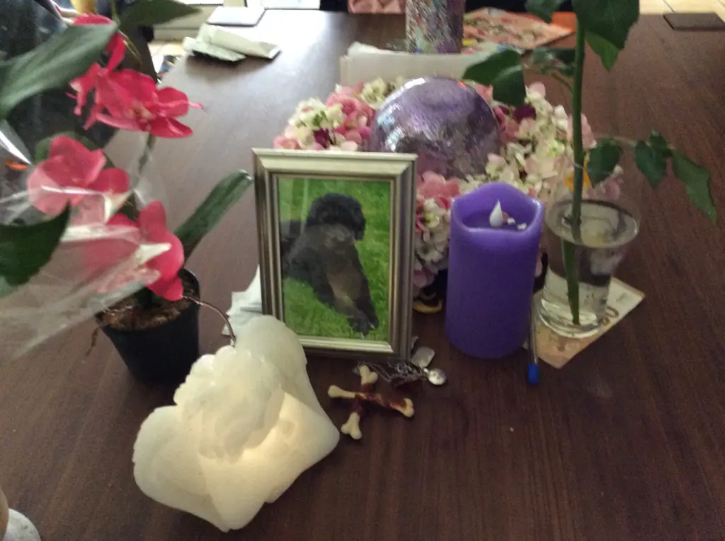 Andachtsbild von Heidi 