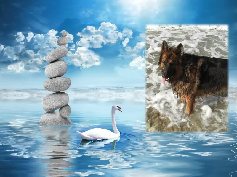 Andachtsbild von ❤️❤️❤️KOCHAM CIĘ MISIU❤️❤️❤️