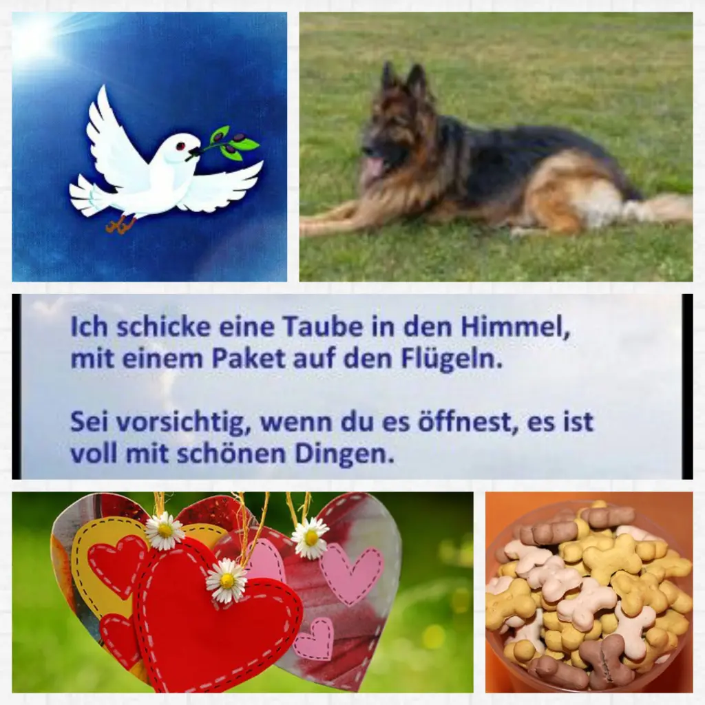 Andachtsbild von Anja mit Joy im Herzen ❤