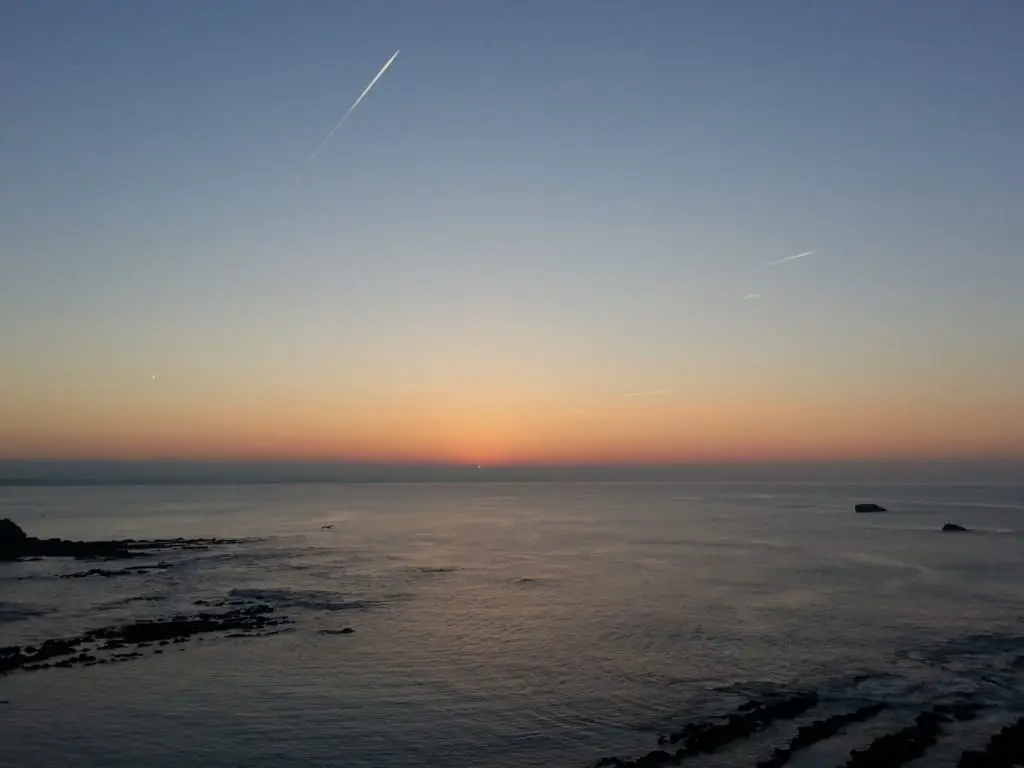 Andachtsbild von Marika mit Balou und Hippo