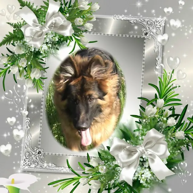 Andachtsbild von Dzień Dobry Misieńku❤️❤️❤️