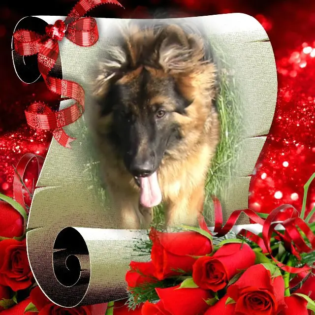 Andachtsbild von Ukochany❤️❤️❤️Misiu❤️❤️❤️