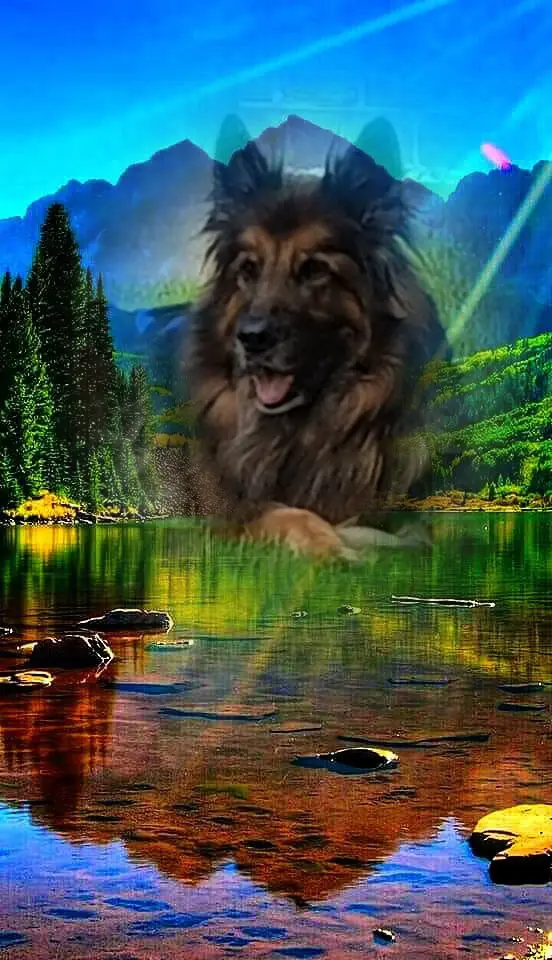 Andachtsbild von Dobrej Nocki Ukochany Misieńku❤️❤️❤️