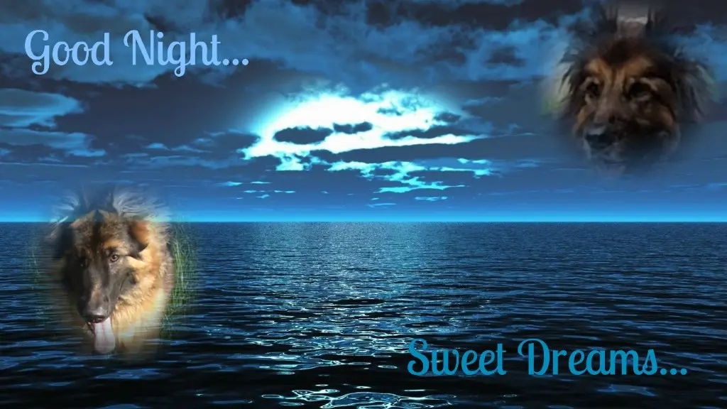 Andachtsbild von Dobrej Nocki Misiaczku❤️❤️❤️