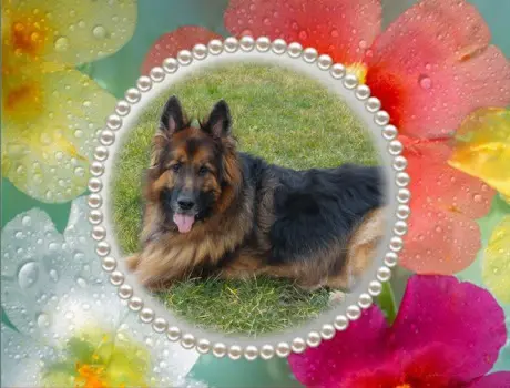 Andachtsbild von Dzień Dobry Misieńku❤️❤️❤️