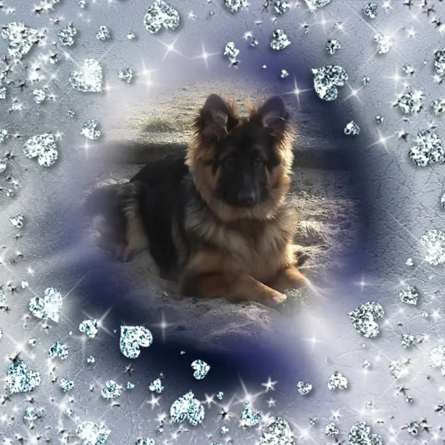 Andachtsbild von Dobranoc Misieńku❤️❤️❤️