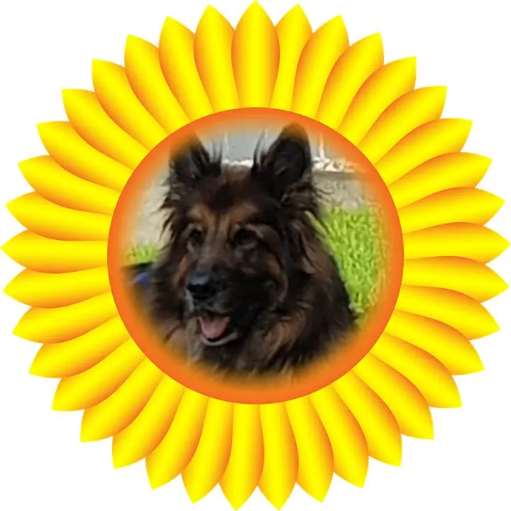 Andachtsbild von Dzień Dobry Misieńku❤️❤️❤️