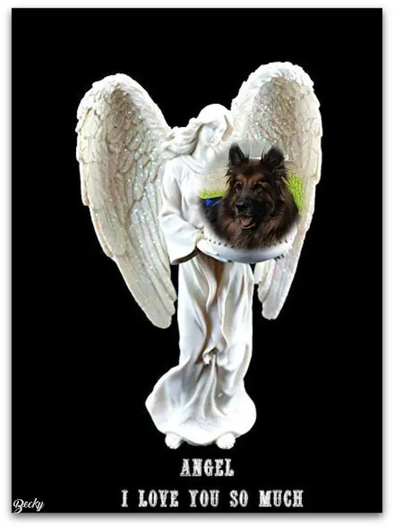 Andachtsbild von Dzień Dobry Misieńku❤️❤️❤️