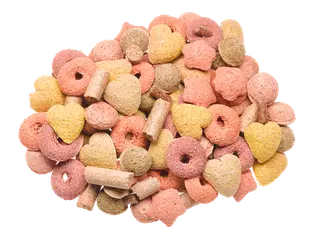 Andachtsbild von Michaela mit Nicko und Ariane ganz tief im ❤