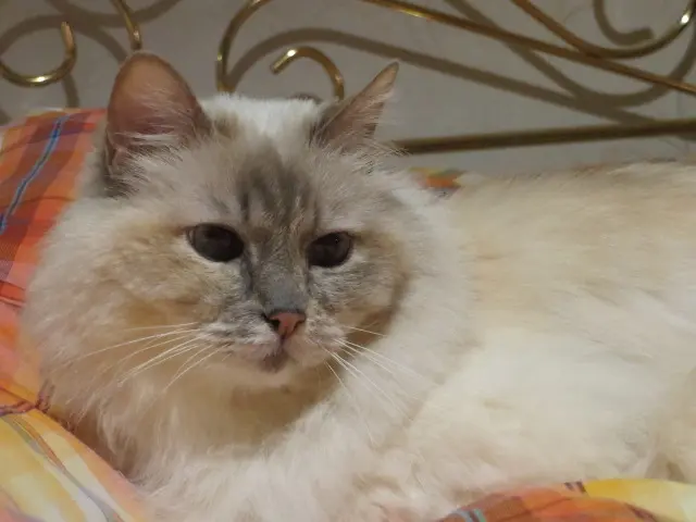 Andachtsbild von Uschi