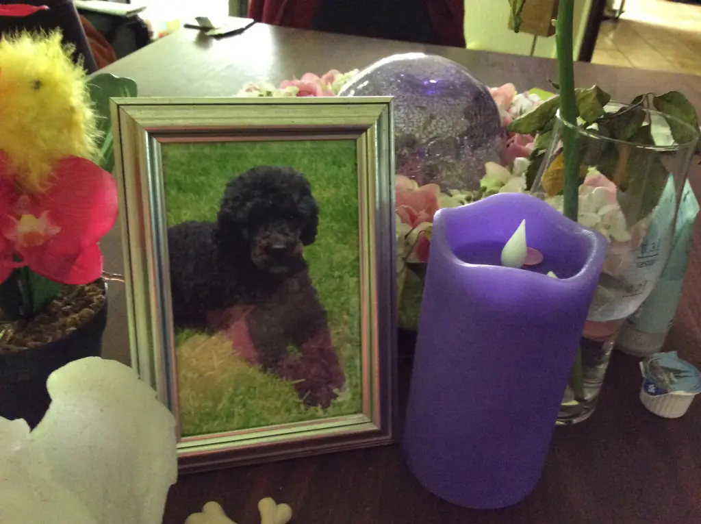 Andachtsbild von Heidi 