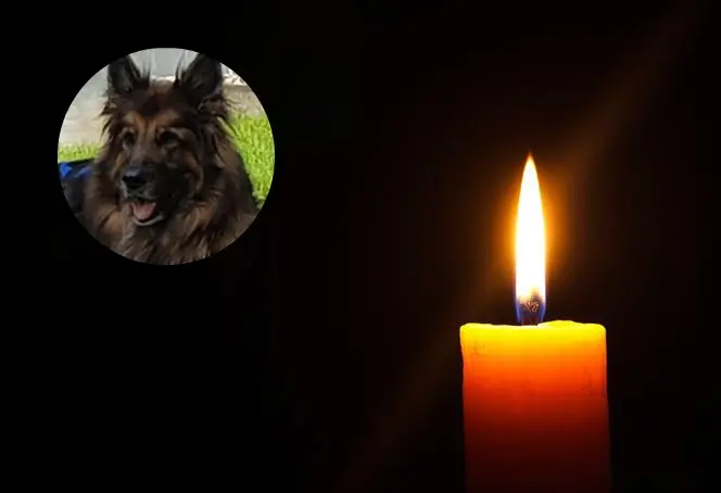 Andachtsbild von Dobrej Nocki Misieńku❤️❤️❤️