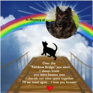 Andachtsbild von Dzień Dobry Misieńku❤️❤️❤️