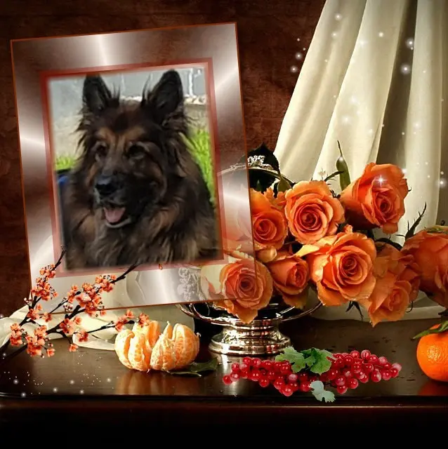 Andachtsbild von Dzień Dobry Misieńku❤️❤️❤️