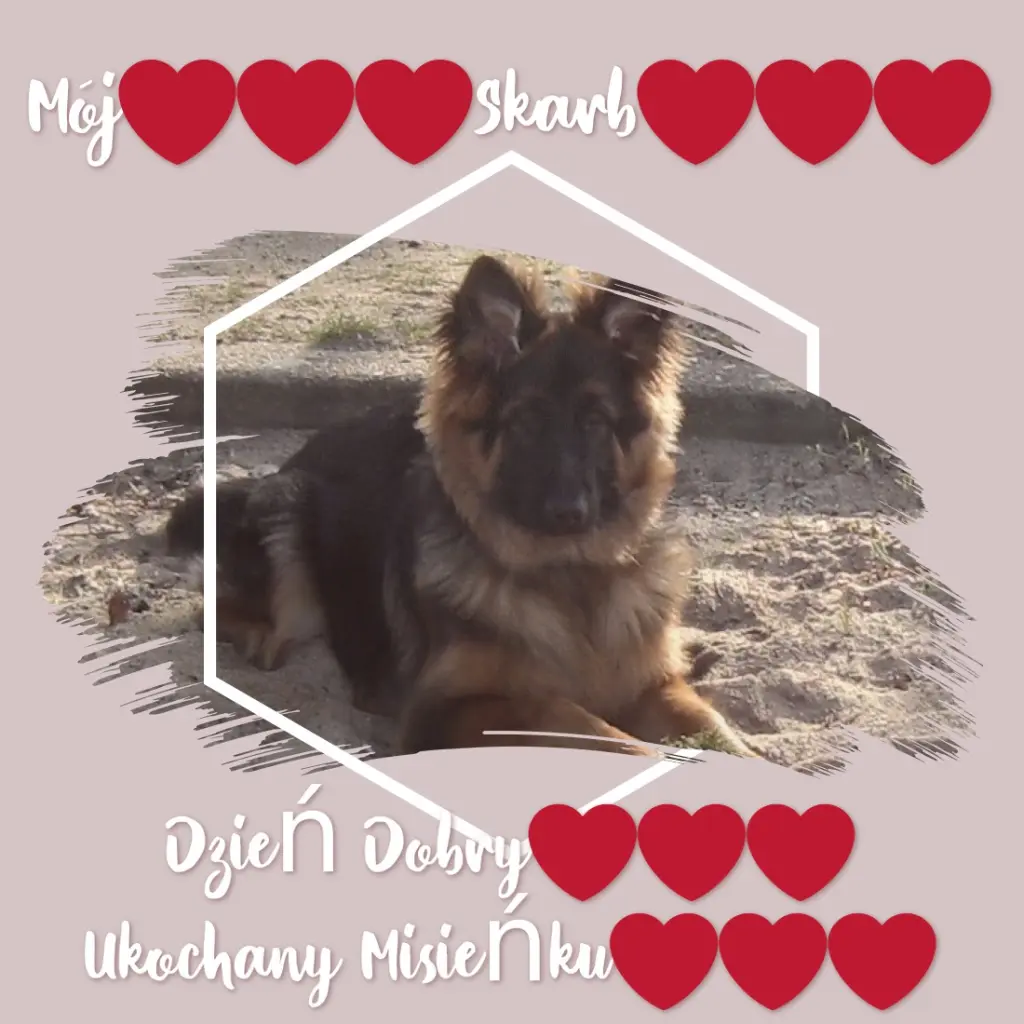 Andachtsbild von Dzień Dobry Misieńku❤️❤️❤️