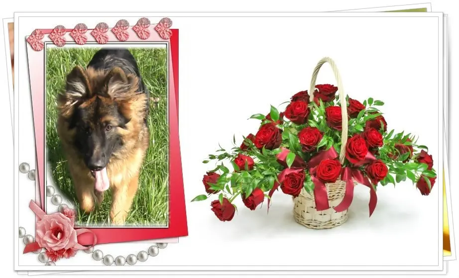 Andachtsbild von Dzień Dobry Misieńku❤️❤️❤️