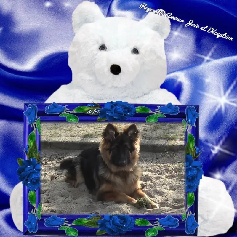 Andachtsbild von ❤️❤️❤️