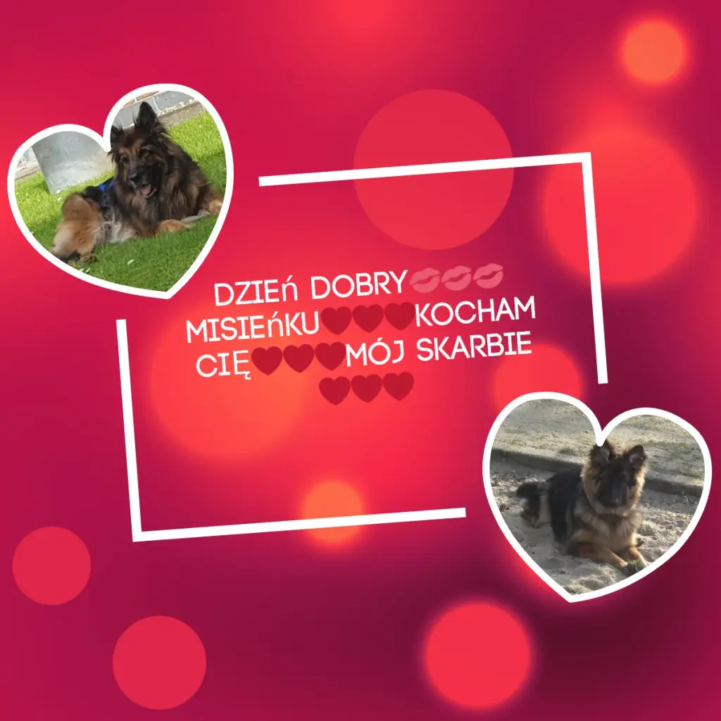 Andachtsbild von Dzień Dobry Misieńku❤️❤️❤️