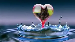 Andachtsbild von Dobrej Nocki Misieńku❤️❤️❤️