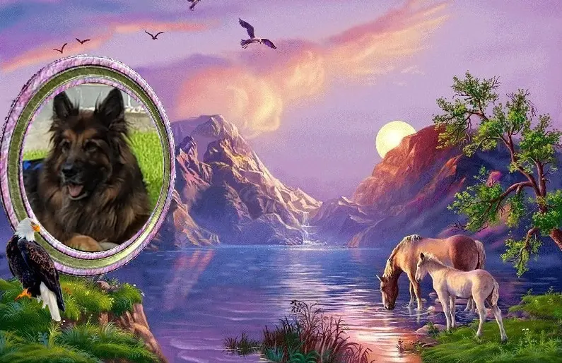 Andachtsbild von Dzień Dobry Misieńku❤️❤️❤️