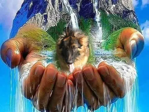 Andachtsbild von Dzień Dobry Misieńku❤️❤️❤️