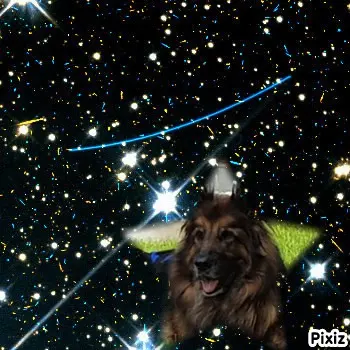 Andachtsbild von Dobrej Nocki Misieńku❤️❤️❤️