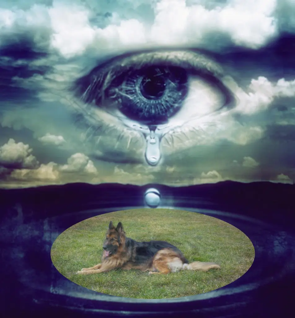 Andachtsbild von Dobrej Nocki Ukochany Misieńku❤️❤️❤️