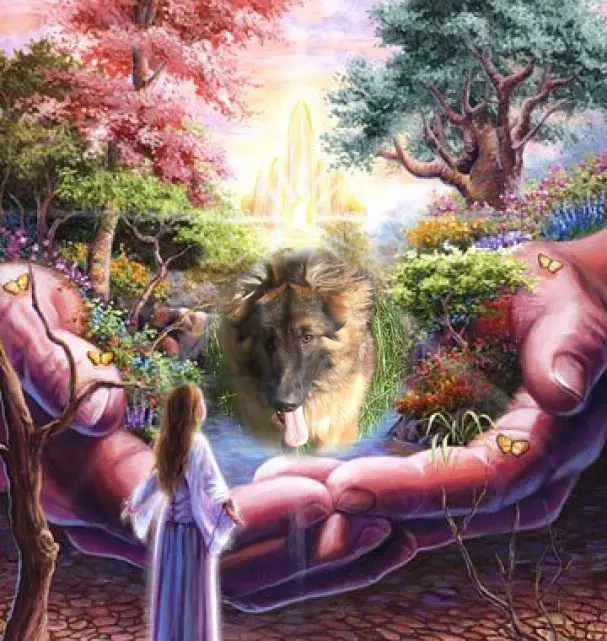 Andachtsbild von Dzień Dobry Misieńku❤️❤️❤️