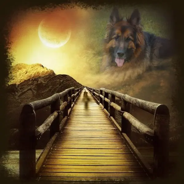 Andachtsbild von Dobrej Nocki Ukochany Misieńku❤️❤️❤️