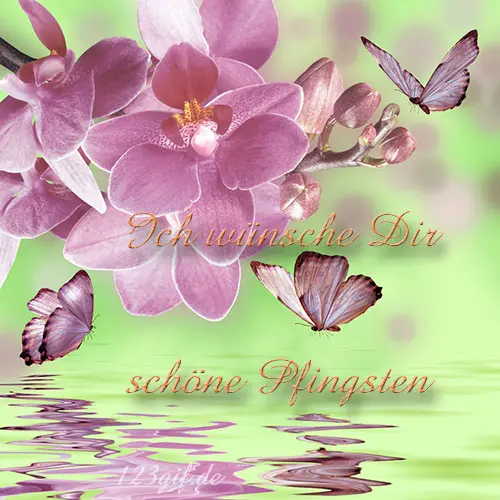 Andachtsbild von Kocham Cię❤❤❤