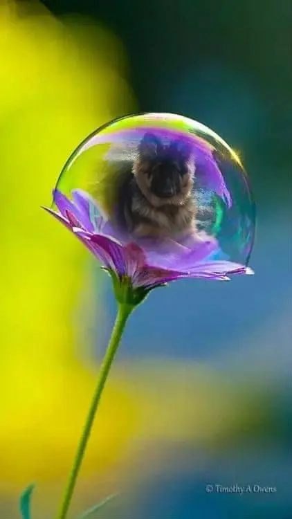 Andachtsbild von Dzień Dobry Misieńku❤️❤️❤️