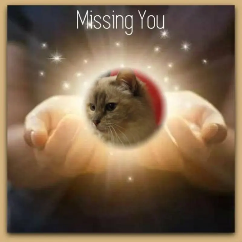 Andachtsbild von Uschi mit Seelenkatzen Jojo und Merlin