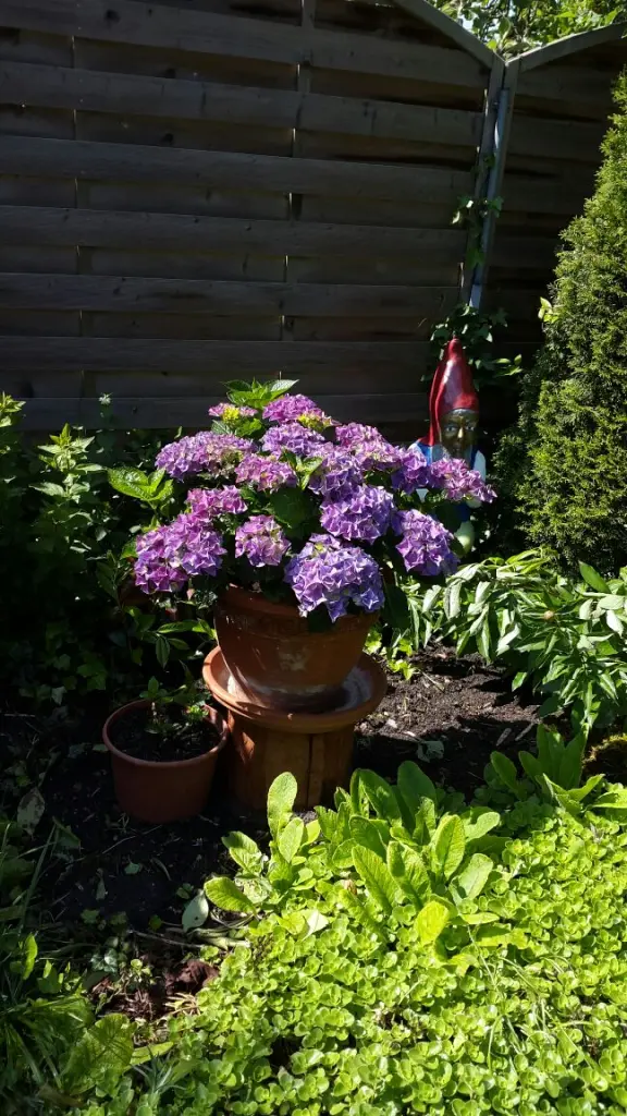 Andachtsbild von Marga mit Rambo im Herzen