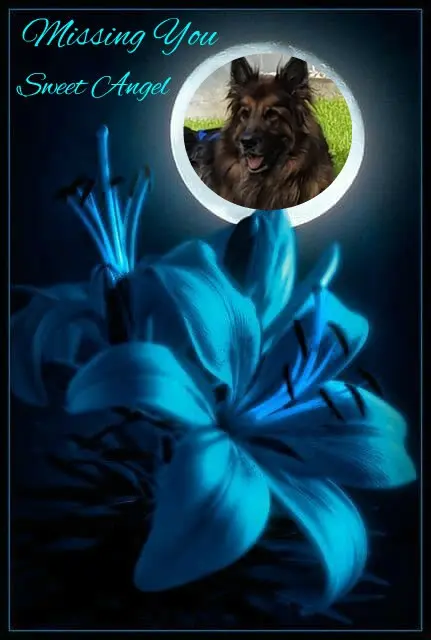 Andachtsbild von Dobrej Nocki Ukochany Misieńku❤️❤️❤️