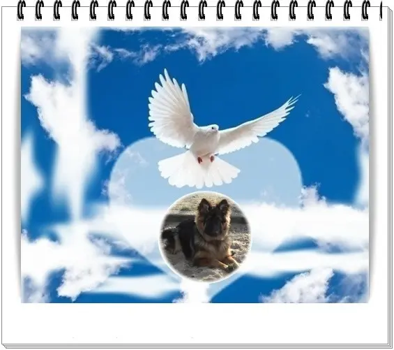 Andachtsbild von Dzień Dobry Misieńku❤️❤️❤️