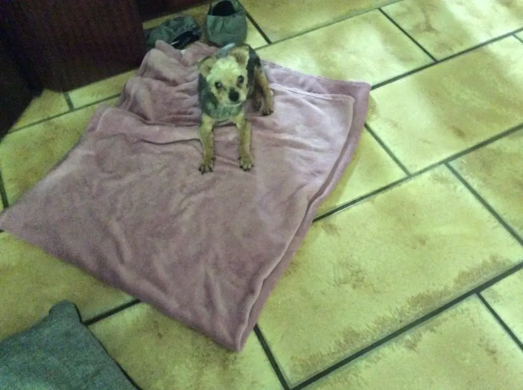 Andachtsbild von HEIDI 