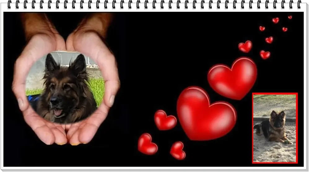 Andachtsbild von Dobrej Nocki Ukochany Misieńku❤️❤️❤️