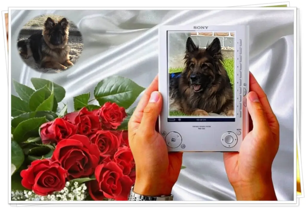 Andachtsbild von Dzień Dobry Misieńku❤️❤️❤️