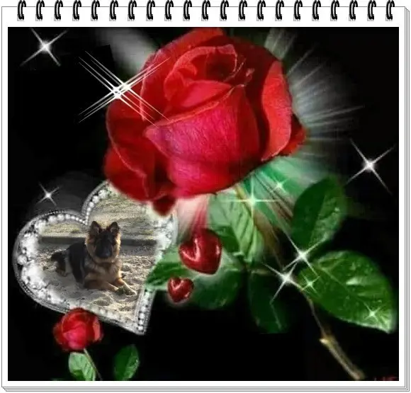 Andachtsbild von Dobrej Nocki Ukochany Misieńku❤️❤️❤️