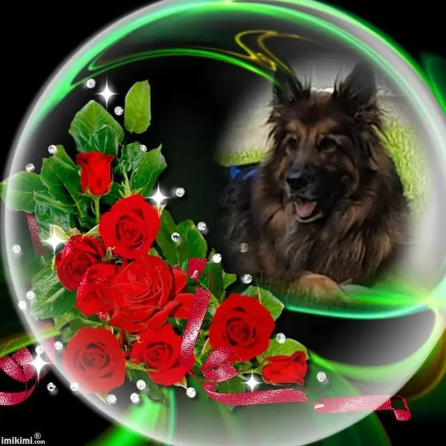 Andachtsbild von Dobrej Nocki Ukochany Misieńku❤️❤️❤️