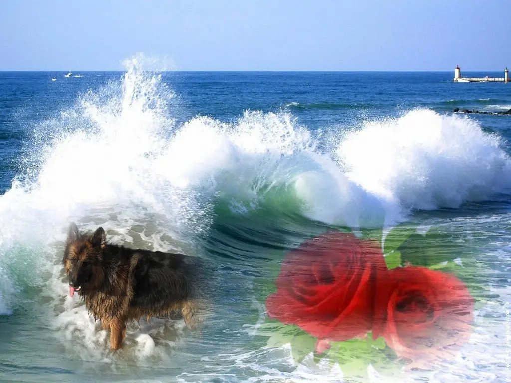 Andachtsbild von Kochany Misiu❤❤❤