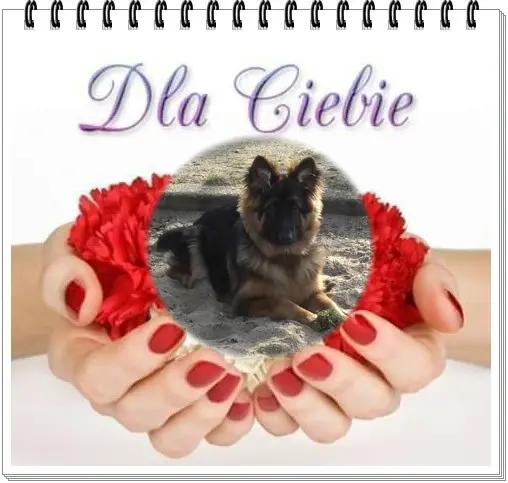 Andachtsbild von Dzień Dobry Misieńku❤️❤️❤️