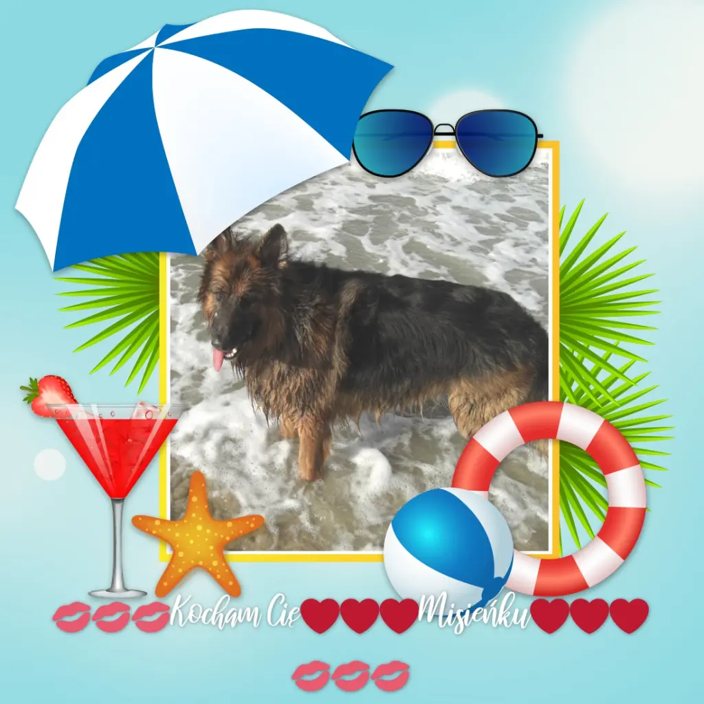 Andachtsbild von Dzień Dobry Misieńku❤️❤️❤️