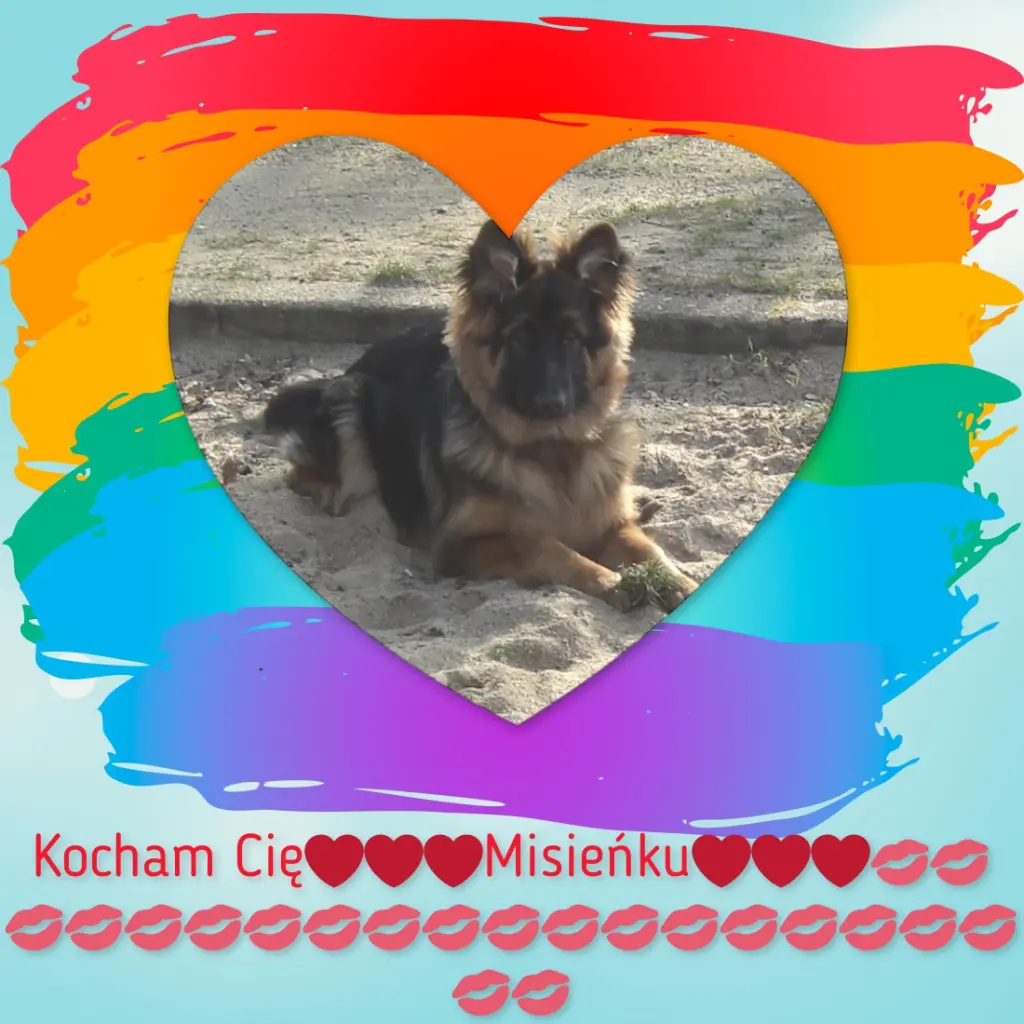 Andachtsbild von Dzień Dobry Misieńku❤️❤️❤️