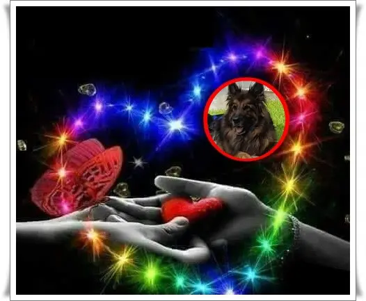 Andachtsbild von Dobrej Nocki Ukochany Misieńku❤️❤️❤️