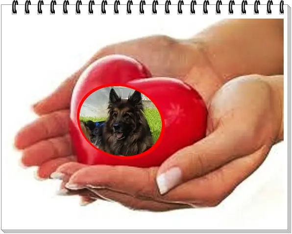 Andachtsbild von Dzień Dobry Misieńku❤️❤️❤️